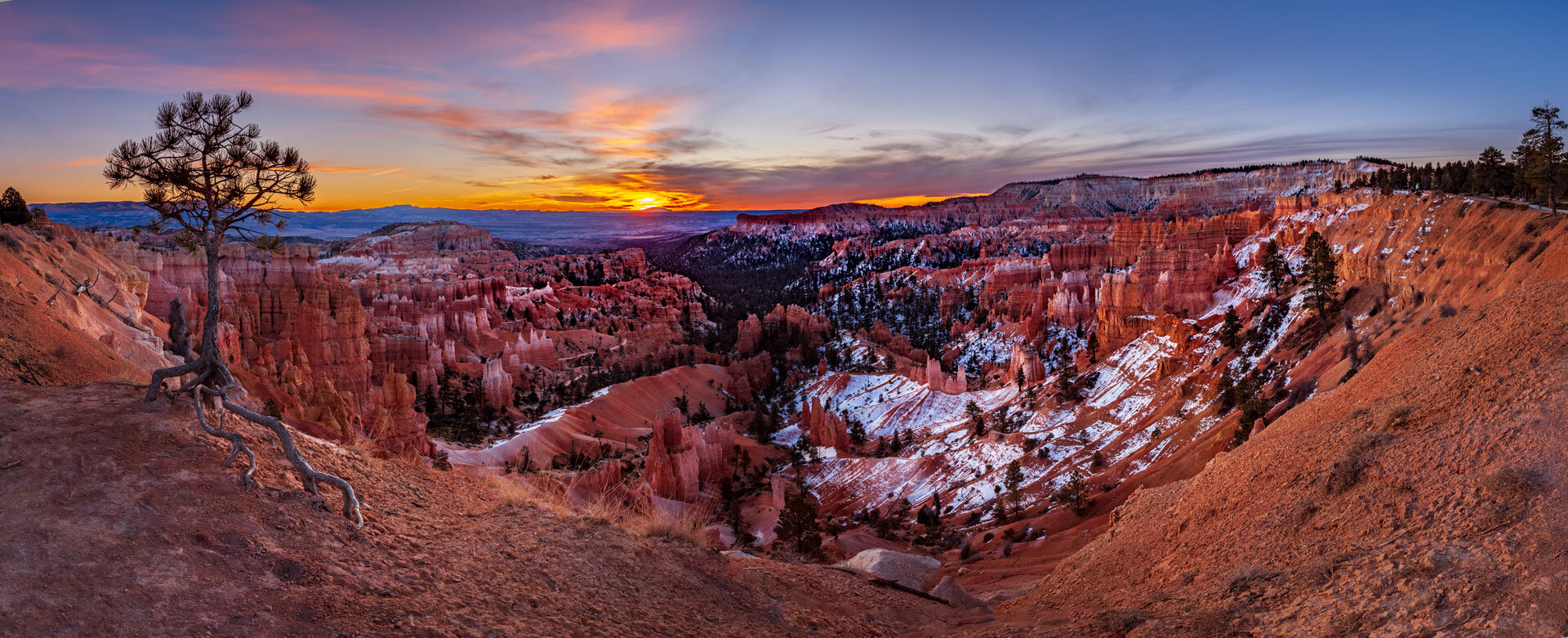 Warm sunrise light over the hoodoos of Bryce Canyon